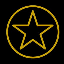 Gold icon of a star inside a circle representing exclusive access