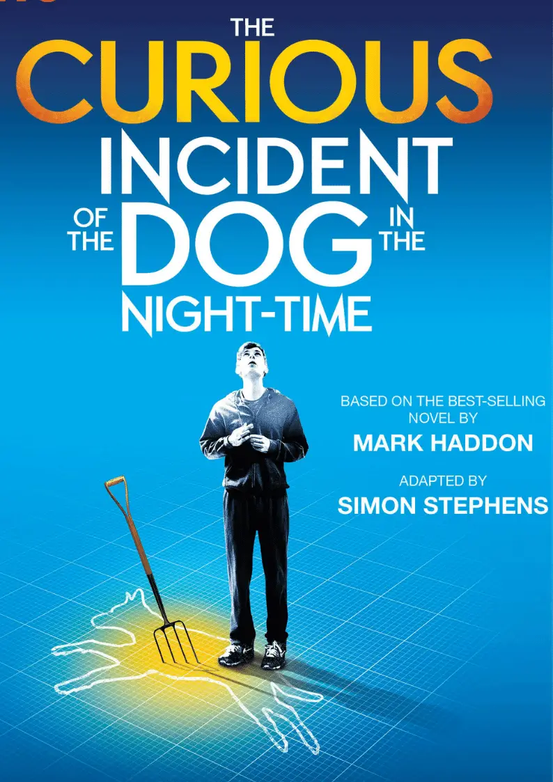 The Curious Incident of The Dog In The Night poster